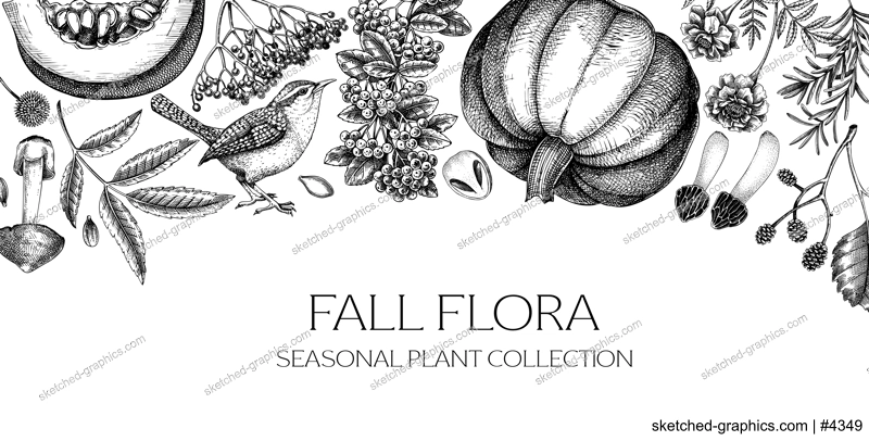 Vintage autumn background. Fall leaves, pumpkins, berries, mushrooms sketches. botanical border. Hand-drawn vector illustration NOT AI generated