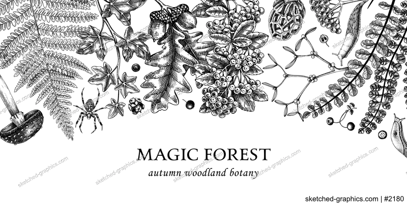 Vector border with ferns, mushrooms, fall leaves and autumn plant sketches. Vintage botanical design template in engraved style. Hand drawn autumn forest background for print. Natural banner 