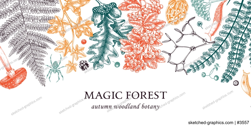 Vector border with ferns, mushrooms, fall leaves and autumn plant sketches. Vintage botanical design template in engraved style. Hand drawn autumn forest background for print. Natural banner in color