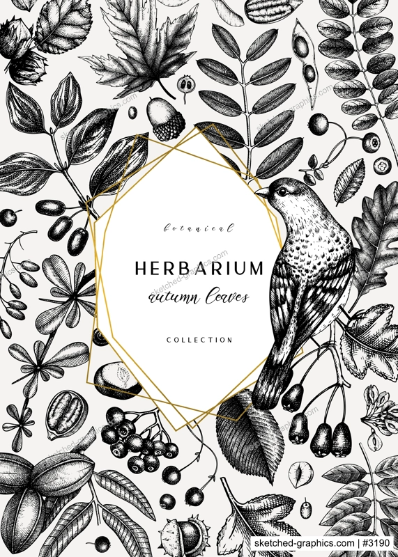 Hand sketched autumn card design. Elegant botanical template with autumn leaves, berries, seeds and bird sketches. Perfect for invitation, cards, flyers, menu, label, packaging. 