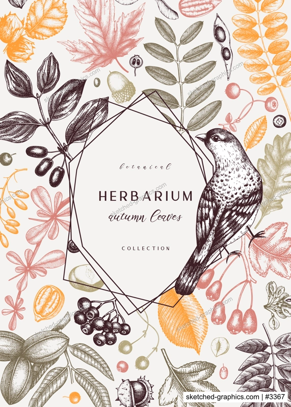 Hand sketched autumn card design in color. Elegant botanical template with autumn leaves, berries, seeds and bird sketches. Perfect for invitation, cards, flyers, menu, label, packaging. 