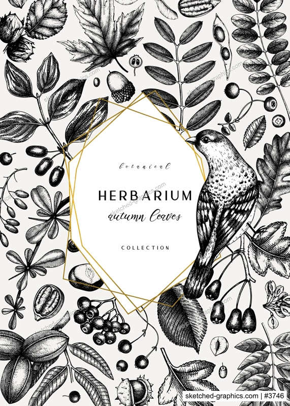 Hand sketched autumn card design. Elegant botanical template with autumn leaves, berries, seeds and bird sketches. Perfect for invitation, greeting cards, flyers, menu, label, packaging. 