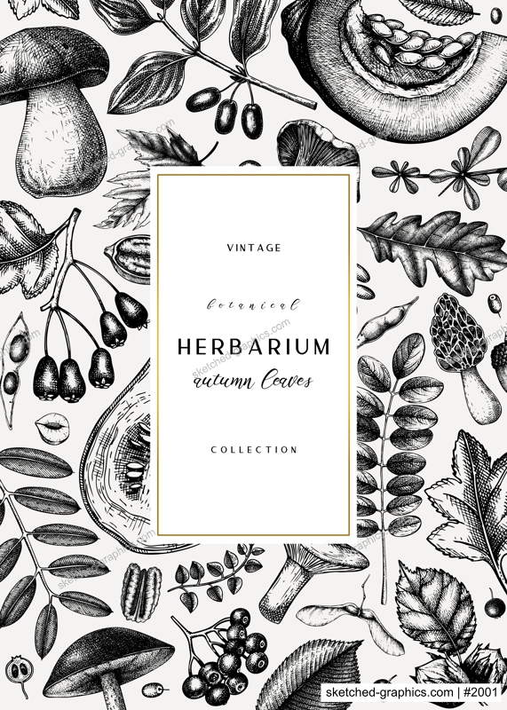 Hand sketched autumn card or invitation design. Elegant botanical template with autumn leaves, berries, seeds, nuts, mushroom sketches. Perfect for flyers, menu, label, packaging. 