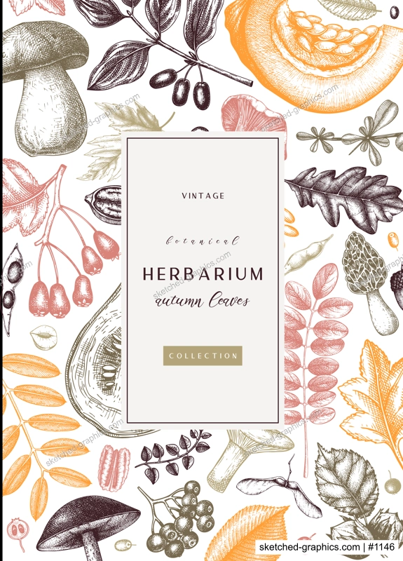 Hand sketched autumn card or invitation design. Elegant botanical template with autumn leaves, berries, seeds, nuts, mushroom sketches. Perfect for flyers, menu, label, packaging. 