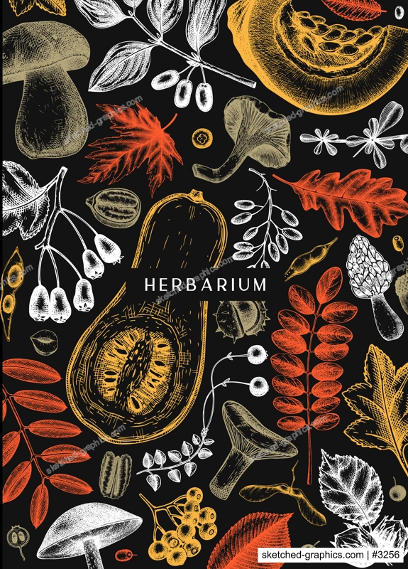 Hand sketched autumn card or invitation design. Elegant botanical template with autumn leaves, berries, seeds, nuts, mushroom sketches. Perfect for flyers, menu, label, packaging. 