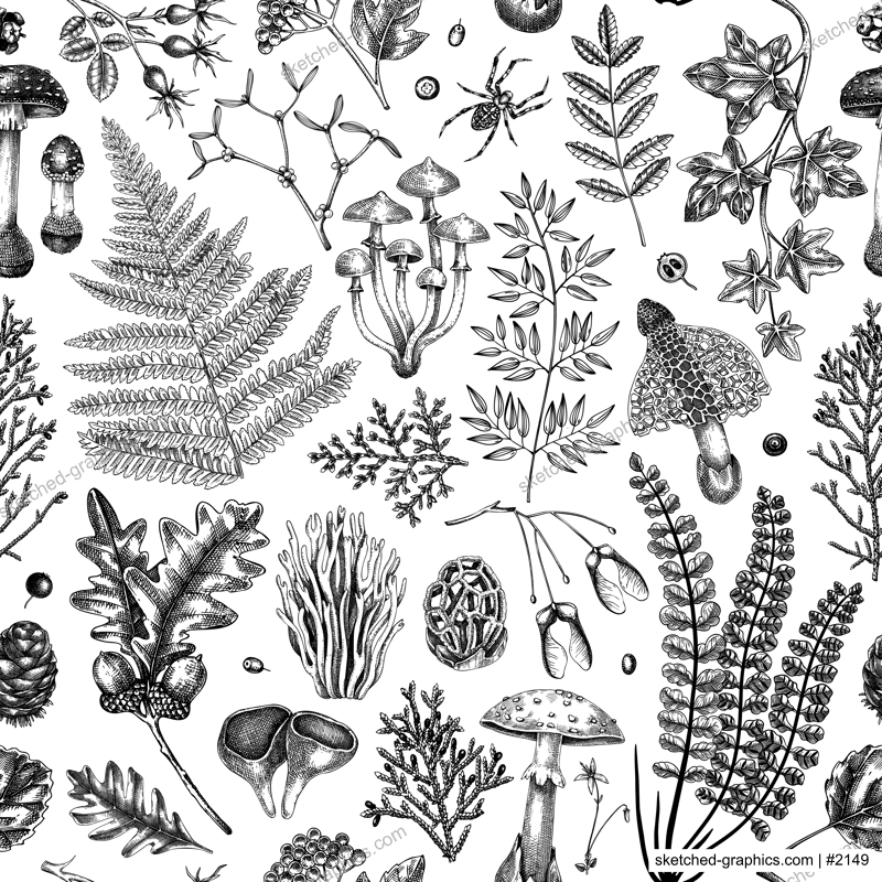 Vector seamless pattern with fern leaf, mushrooms, fall leaves and autumn plant sketches. Monochrome botanical repeating texture. Hand drawn autumn forest background. Vintage nature design for print