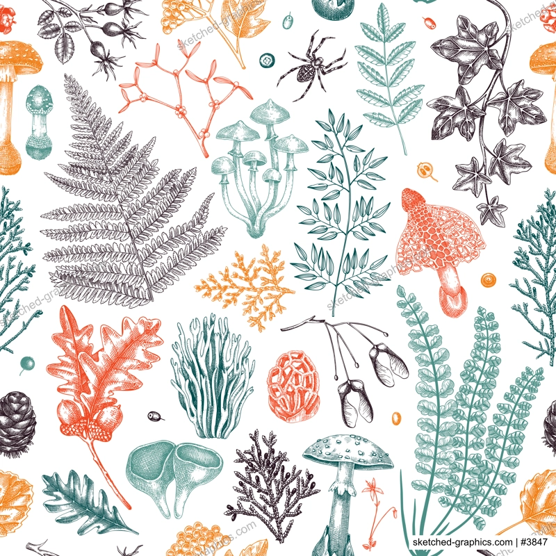 Vector seamless pattern with fern leaf, mushrooms, fall leaves and autumn plant sketches. Monochrome botanical repeating texture. Hand drawn autumn forest background. Vintage nature design in color