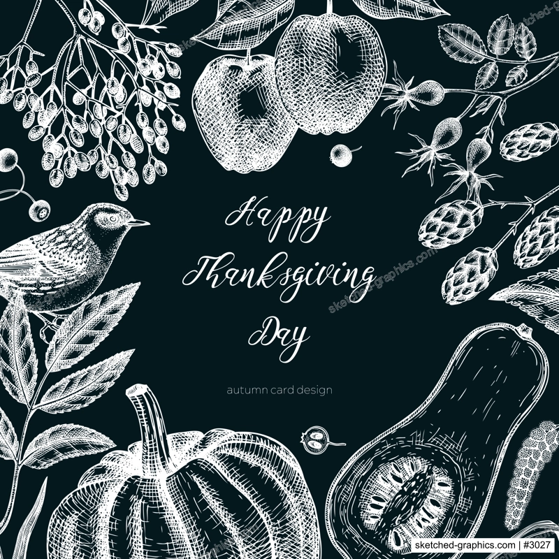 Sketched autumn card design on chalkboard . Vintage botanical frame with autumn leaves, pumpkins, berries, bird drawings. Fall plants invitation or banner. Thanksgiving day sketched illustration.