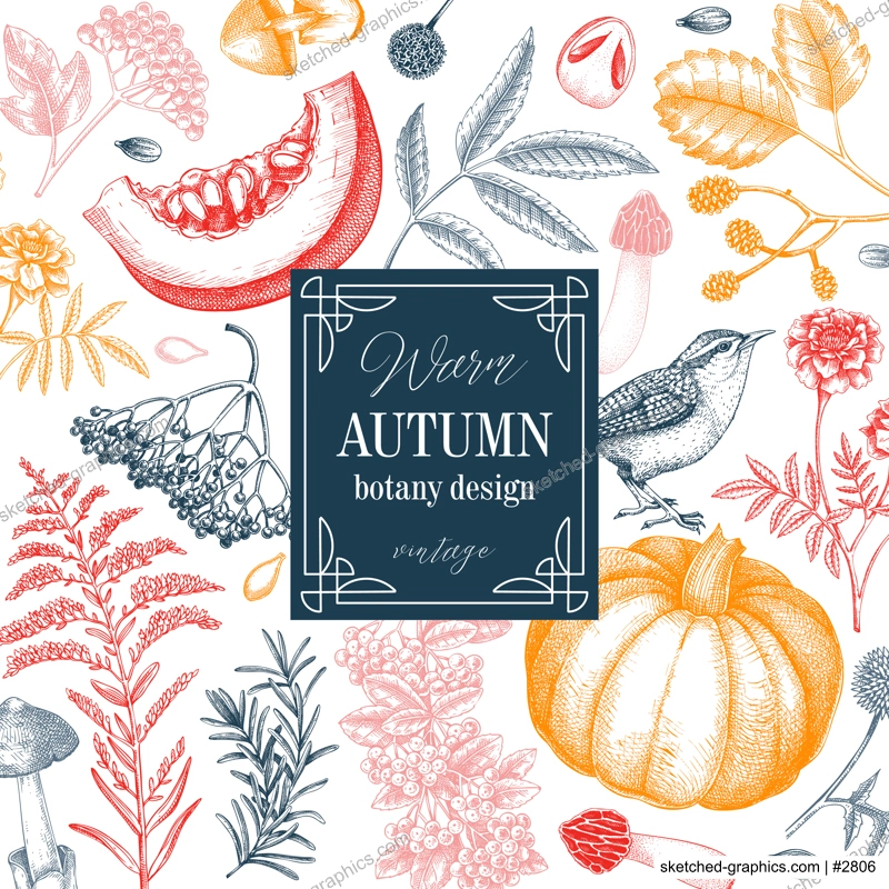 Vintage autumn card design. Thanksgiving background. Fall leaves, pumpkins, berries, mushrooms sketches. Hand-drawn vector illustration. NOT AI generated
