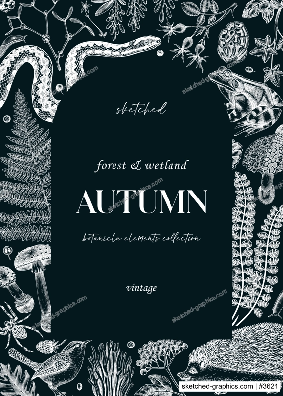 Autumn background on chalkboard. Vintage greeting card and invitation design template. Hand-drawn forest plants, fall leaves, mushrooms, ferns, woodland animals sketches. 