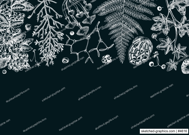 Hand drawn autumn background on chalkboard. Vintage frame with ferns, forest mushrooms, fall leaves and autumn plant sketch. Botanical design template in engraved style. Vector woodland illustration