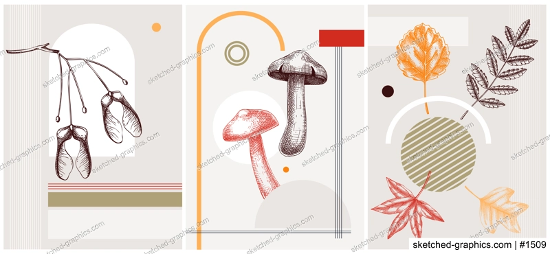 Collage style autumn vector illustration. Sketched leaves and dried flowers. Trendy fall design with botanical, geometric shapes, and abstract elements. For print, poster, card, social media