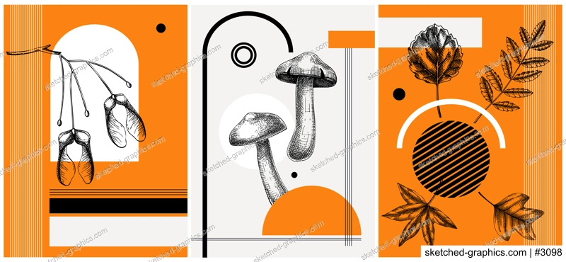 Collage style autumn vector illustration. Sketched leaves and dried flowers. Trendy fall design with botanical, geometric shapes, and abstract elements. For print, poster, card, social media