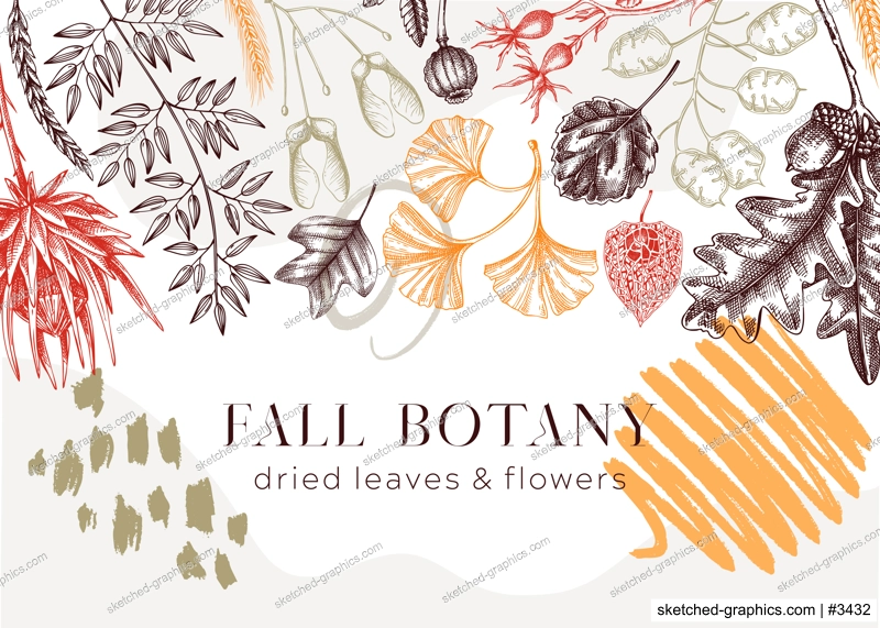 Autumn background in collage style. Fallen leaves and dried flowers banner. Floral border template. Hand-drawn dried plants, fall leaves, mushrooms, and fruit illustration. Thanksgiving background.