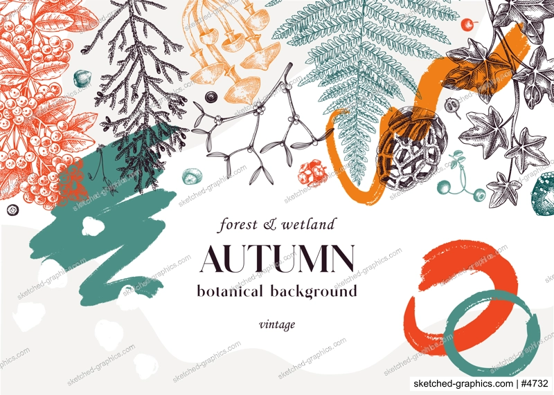 Hand drawn autumn forest background. Collage style banner with ferns, mushrooms, fall leaves and autumn plant sketches. Trendy botanical design template with abstract elements, geometric shapes