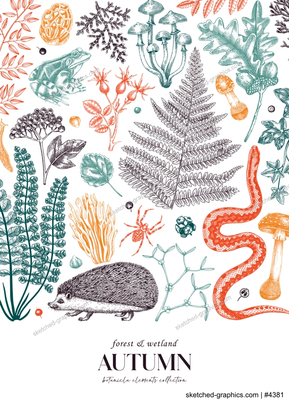 Autumn forest background in color. Hand drawn fallen leaves, ferns, autumn plants, mushrooms, woodland animals sketches. Botanical design template of card, invitation, cover