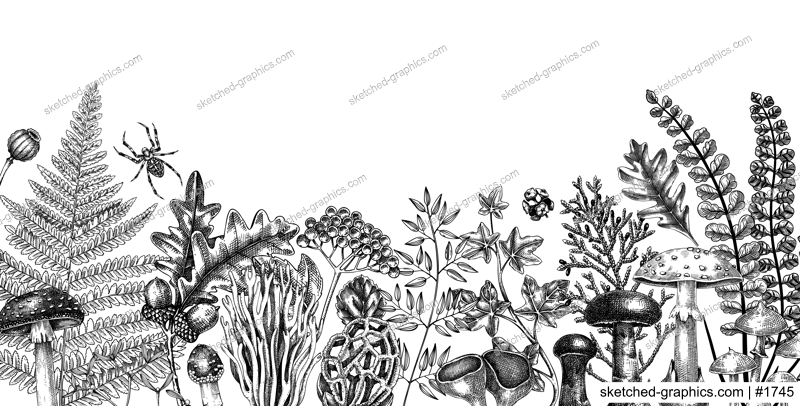 Hand drawn autumn forest background with ferns, mushrooms, fall leaves, berries and autumn plant sketches. Vintage botanical design template. Natural banner, print. Woodlands vector illustration.