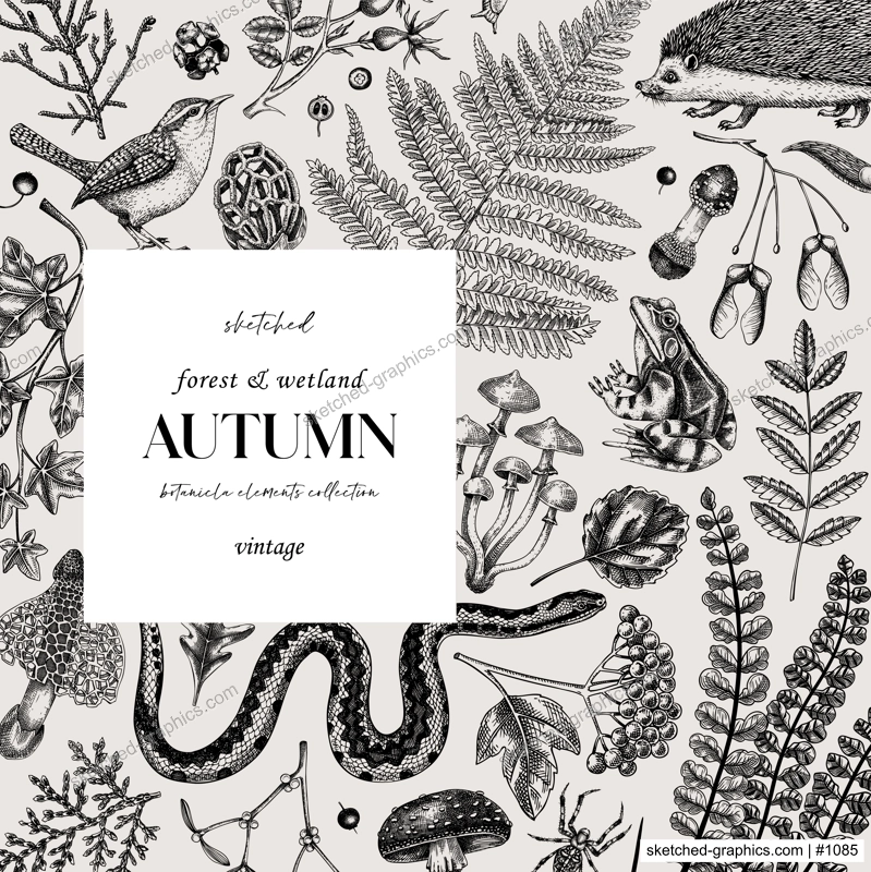 Autumn forest background. Woodland animals, fall leaves, ferns, mushrooms sketches. Fall nature backdrop. Hand-drawn vector illustration. Vintage botanical invitation or greeting card, frame design 