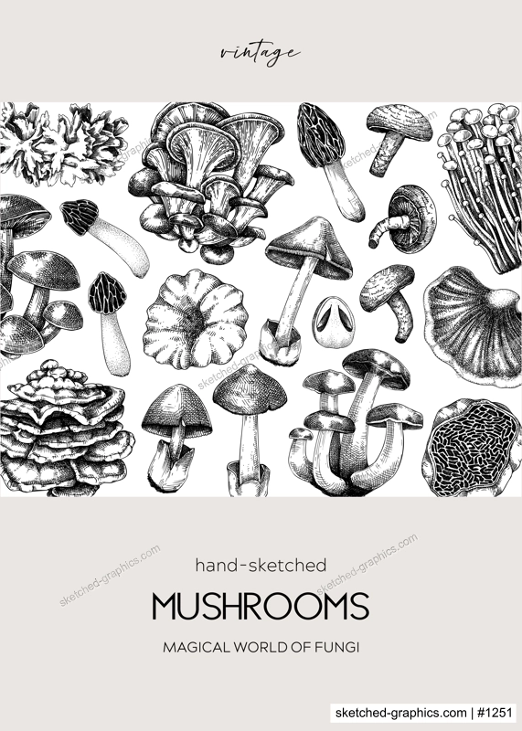 Autumn forest background. Woodland animals, fall leaves, ferns, mushrooms sketches. Fall nature backdrop. Hand-drawn vector illustration. Vintage botanical invitation or greeting card, frame design 
