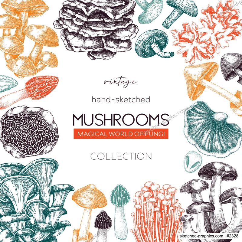 Autumn forest background. Woodland animals, fall leaves, ferns, mushrooms sketches. Fall nature backdrop. Hand-drawn vector illustration. Vintage botanical invitation or greeting card, frame design 
