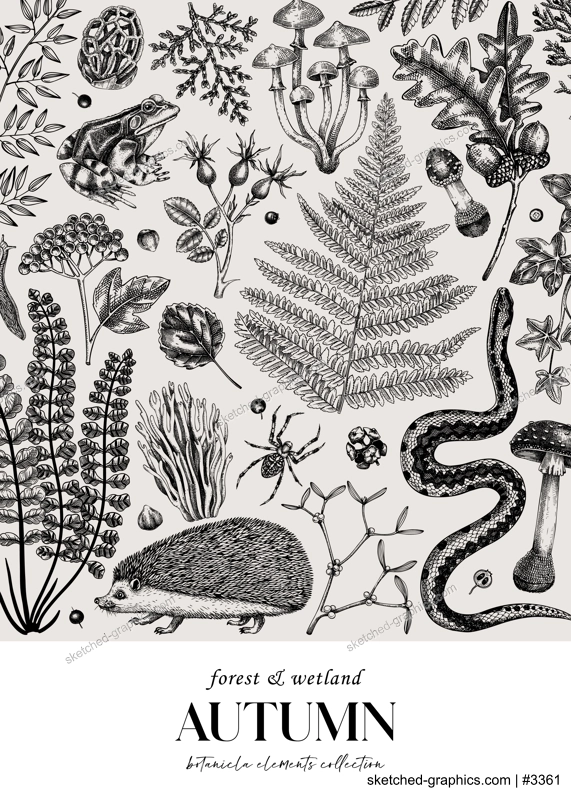 Autumn forest background. Hand drawn fallen leaves, ferns, autumn plants, mushrooms, woodland animals sketches. Botanical design template of card, invitation, cover