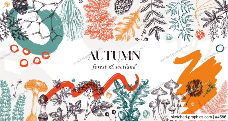 Hand drawn autumn forest background. Collage style banner with ferns, mushrooms, fall leaves and autumn plant sketches. Trendy botanical design template with abstract elements, geometric shapes