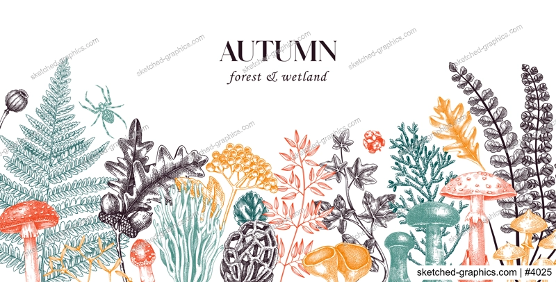 Hand drawn autumn forest background with ferns, mushrooms, fall leaves, berries and autumn plant sketches. Vintage botanical design template. Natural banner, print. Woodlands vector illustration.
