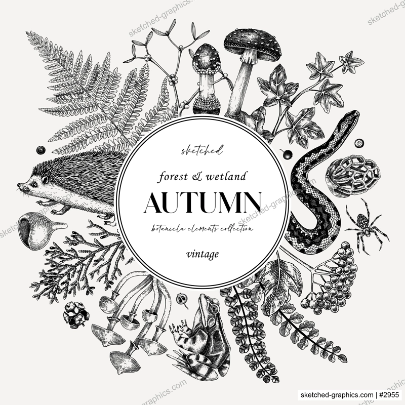 Autumn forest on chalkboard. Vinatge design template. Woodland animals, ferns, fall leaves, mushroom sketches. Hand drawn vector illustration. Greeting card or invitation.