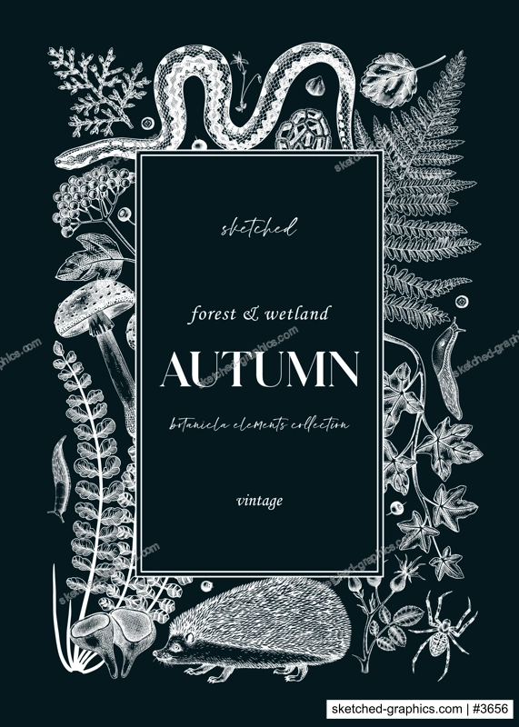 Forest frame on chalkboard. Hand-drawn autumn plants, fall leaves, mushrooms, ferns, woodland animals sketches. Decorative autumn background in vintage style for banner, print, greeting card, invite