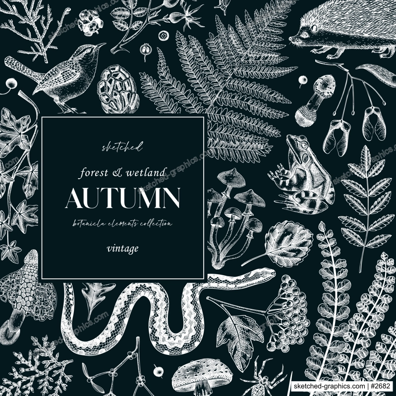 Autumn forest frame on chalkboard. Woodland animals, ferns, mushrooms, fall leaves, and autumn plant sketches. Hand drawn vector illustration, design elements, vintage invitation, greeting card.