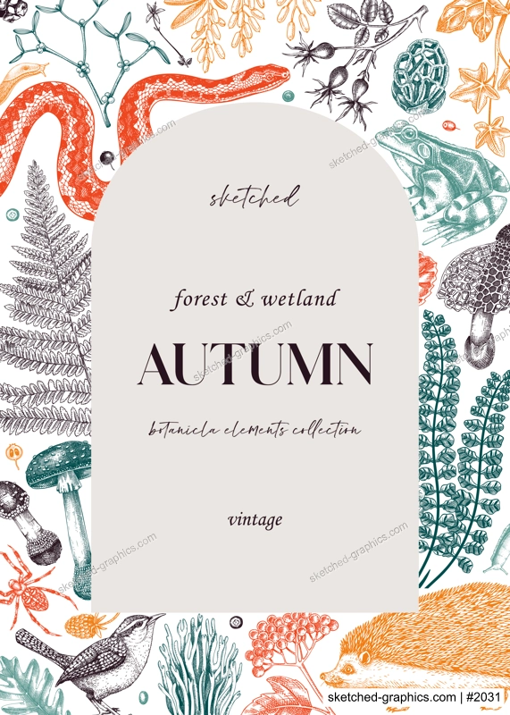Forest frame in color. Hand-drawn autumn plants, fall leaves, mushrooms, ferns, woodland animals sketches. Decorative fall background in vintage style for banner, print, greeting card, invite