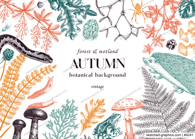 Sketched autumn background. Vintage forest wildlife vector illustration. Woodland animals, ferns, mushrooms, fall leaves, and autumn plant sketches. Vintage banner, card, design template in color