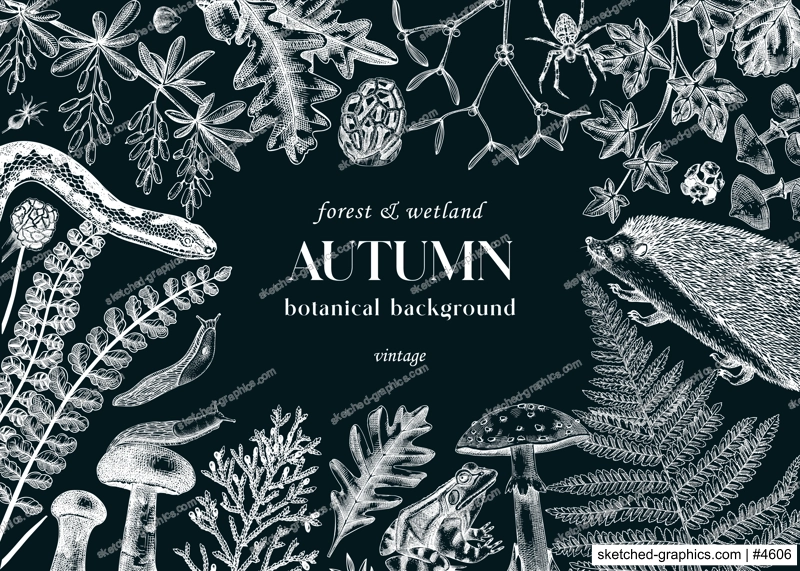 Sketched autumn background on chalkboard. Forest wildlife. Vector illustration with woodland animals, ferns, mushrooms, fall leaves, and autumn plant sketches. Vintage banner, card, design template. 