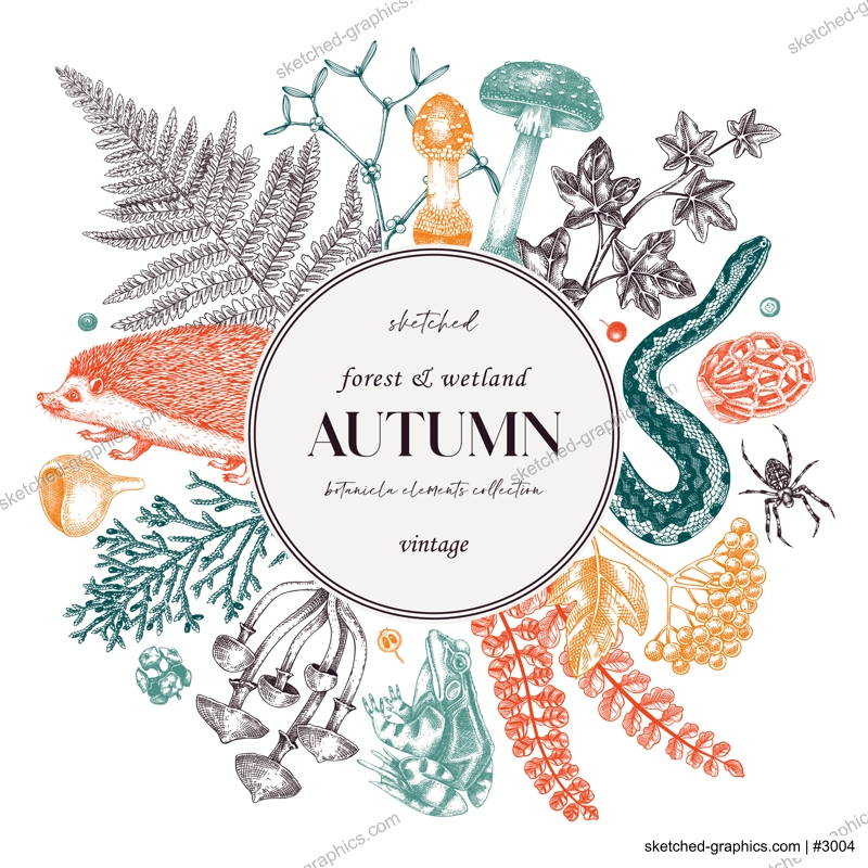 Autumn card or invitation. Forest plants design. Fall wreath with fall leaves and woodland animals. Falling leaves, mushrooms, ferns sketches. Hand drawn vector illustration