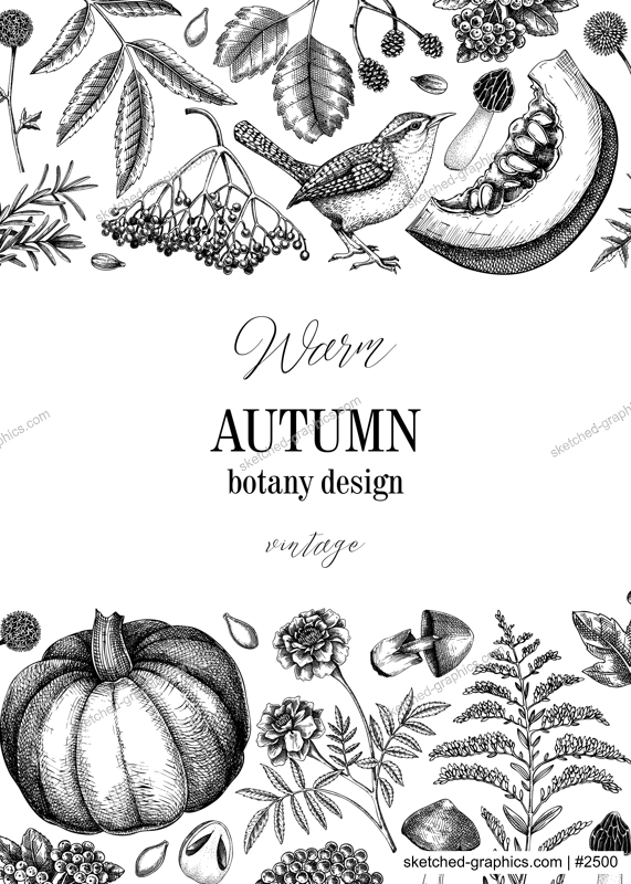 Vintage autumn frame design. Thanksgiving background. Fall leaves, pumpkins, berries, mushrooms sketches. Hand-drawn vector illustration. NOT AI generated