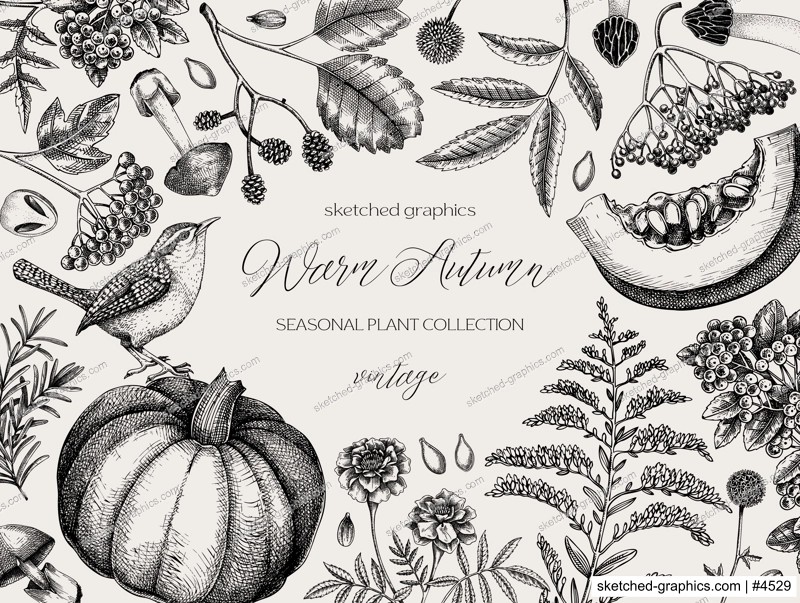 Vintage autumn frame design. Thanksgiving background. Fall leaves, pumpkins, berries, mushrooms sketches. Hand-drawn vector illustration. NOT AI generated