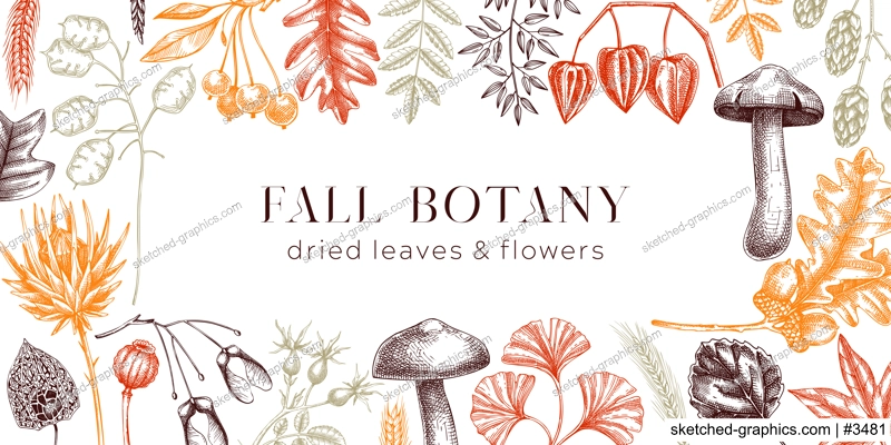 Autumn background with fall leaves and dried flowers. Thanksgiving frame design. Fall backdrop in sketched style. Dried herbs, falling leaves, mushrooms, seeds banner. Botanical illustration. 