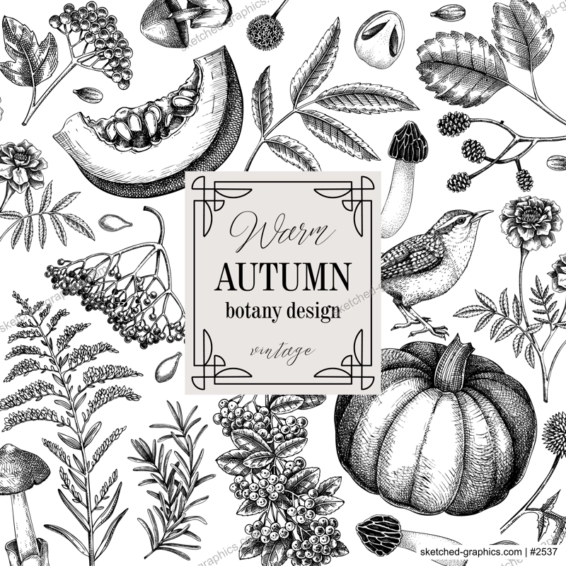 Vintage autumn frame design. Thanksgiving background. Fall leaves, pumpkins, berries, mushrooms sketches. Hand-drawn vector illustration. NOT AI generated