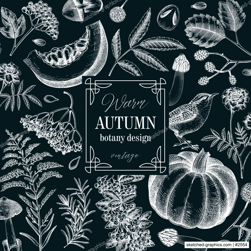 Vintage autumn frame design. Thanksgiving background. Fall leaves, pumpkins, berries, mushrooms sketches on chalkboard. Hand-drawn vector illustration. NOT AI generated