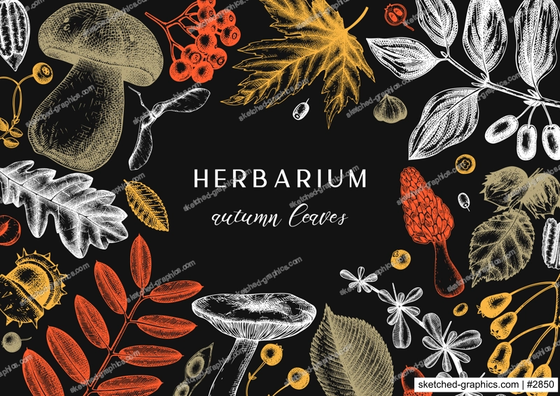 Hand sketched autumn leaves background in color. Elegant botanical template with autumn leaves, berries, seeds, mushrooms sketches. Perfect for invitation, cards, flyers, menu, label, packaging. 