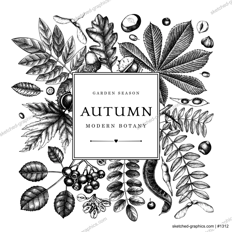 Hand sketched autumn leaves design. Elegant botanical template with autumn leaves, berries, seeds, forest plants sketches. Perfect for invitation, greeting cards, flyers, menu, label, packaging. 