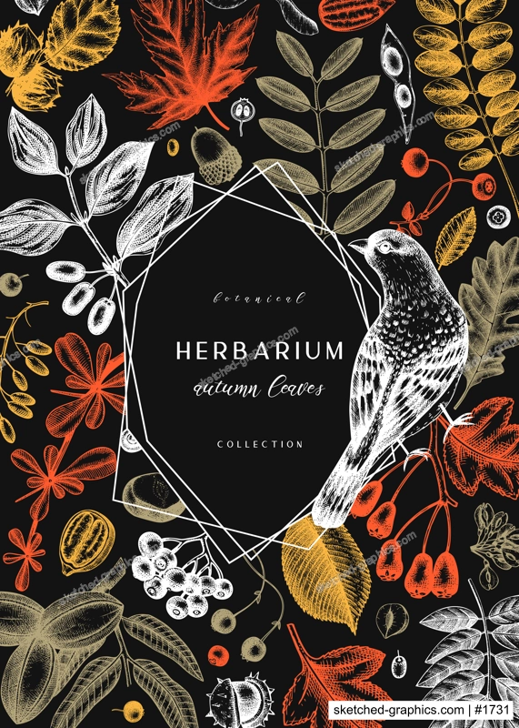 Hand sketched autumn leaves design in color. Elegant botanical template with autumn leaves, berries, seeds and bird sketches. Perfect for invitation, cards, flyers, menu, label, packaging. 