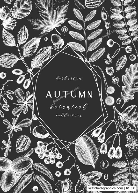 Hand sketched autumn leaves design on chalkboard. Elegant botanical template with autumn leaves, berries, seeds  sketches. Perfect for invitation, cards, flyers, menu, label, packaging. 