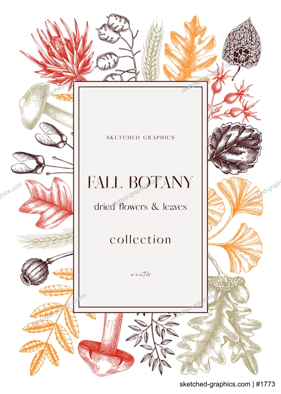 Autumn design with fall leaves and dried flowers. Thanksgiving background. Fall card or invitation. Sketched dried flowers, falling leaves, mushrooms, seeds frame. Botanical illustration in color