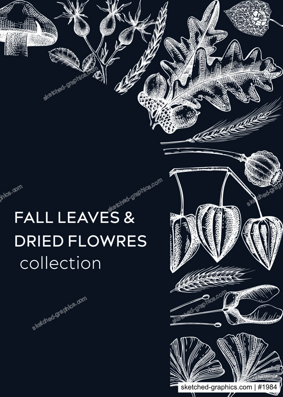 Autumn design with fall leaves and dried flowers. Thanksgiving background. Fall card or invitation. Sketched dried flowers, falling leaves, mushrooms, seeds frame. Botanical illustration on chalkboard