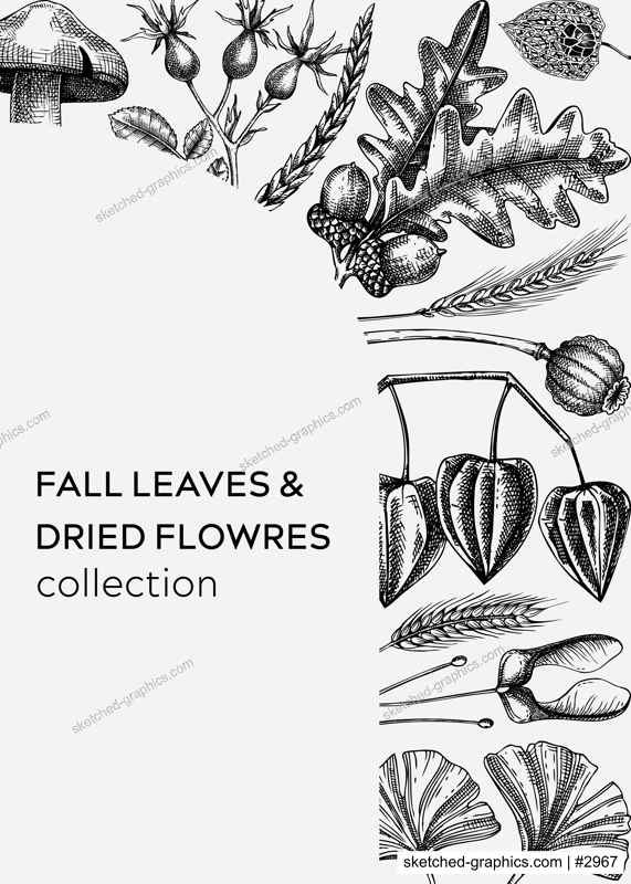 Autumn design with fall leaves and dried flowers. Thanksgiving background. Fall card or invitation. Sketched dried flowers, falling leaves, mushrooms vector frame. Vintage botanical illustration. 