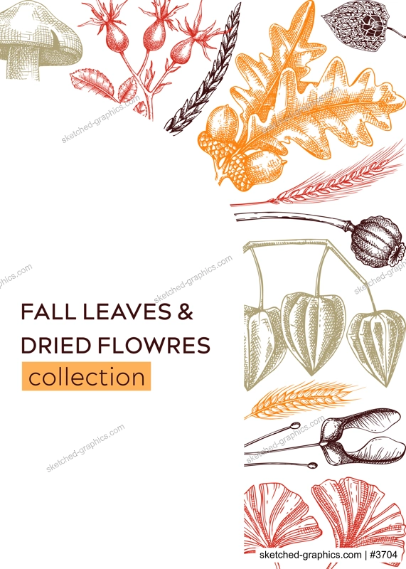 Autumn design with fall leaves and dried flowers. Thanksgiving background. Fall card or invitation. Sketched dried flowers, falling leaves, mushrooms, seeds frame. Botanical illustration in color
