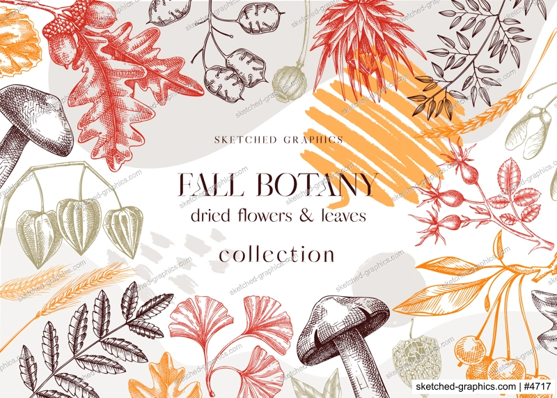 Autumn collage with fall leaves and dried flowers. Thanksgiving background. Fall card or invitation. Sketched dried flowers, falling leaves, mushrooms, seeds frame. Colorful botanical illustration