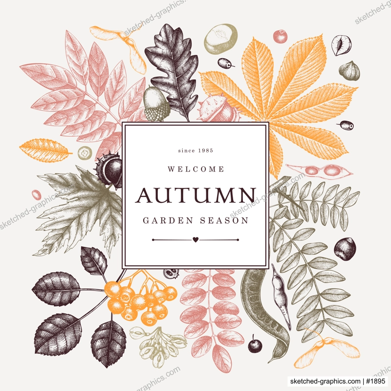 Hand sketched autumn leaves frame in color. Elegant botanical template with autumn leaves, berries, seeds sketches. Perfect for invitation, greeting cards, flyers, menu, label, packaging. 