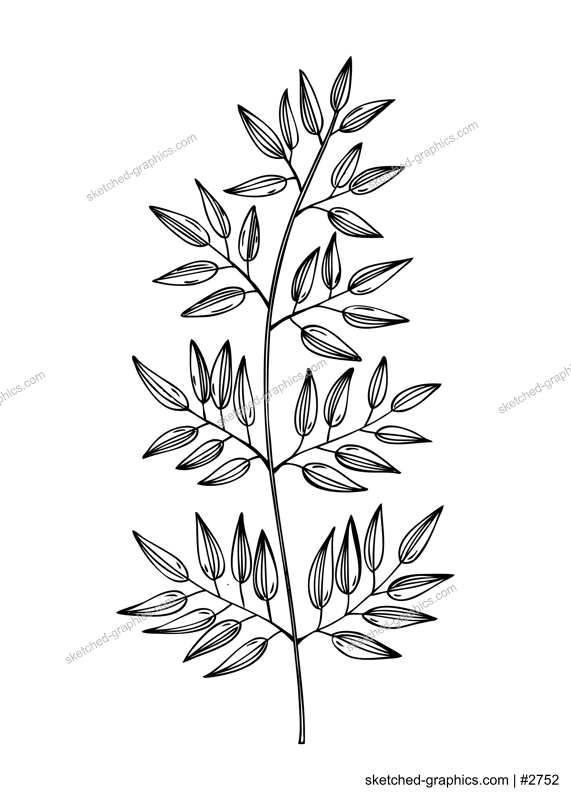 Decorative autumn leaf sketch. Tropical foliage drawing. Hand drawn botanical element in sketched style. Sketched fall leaves illustrations. For Thanksgiving day design.